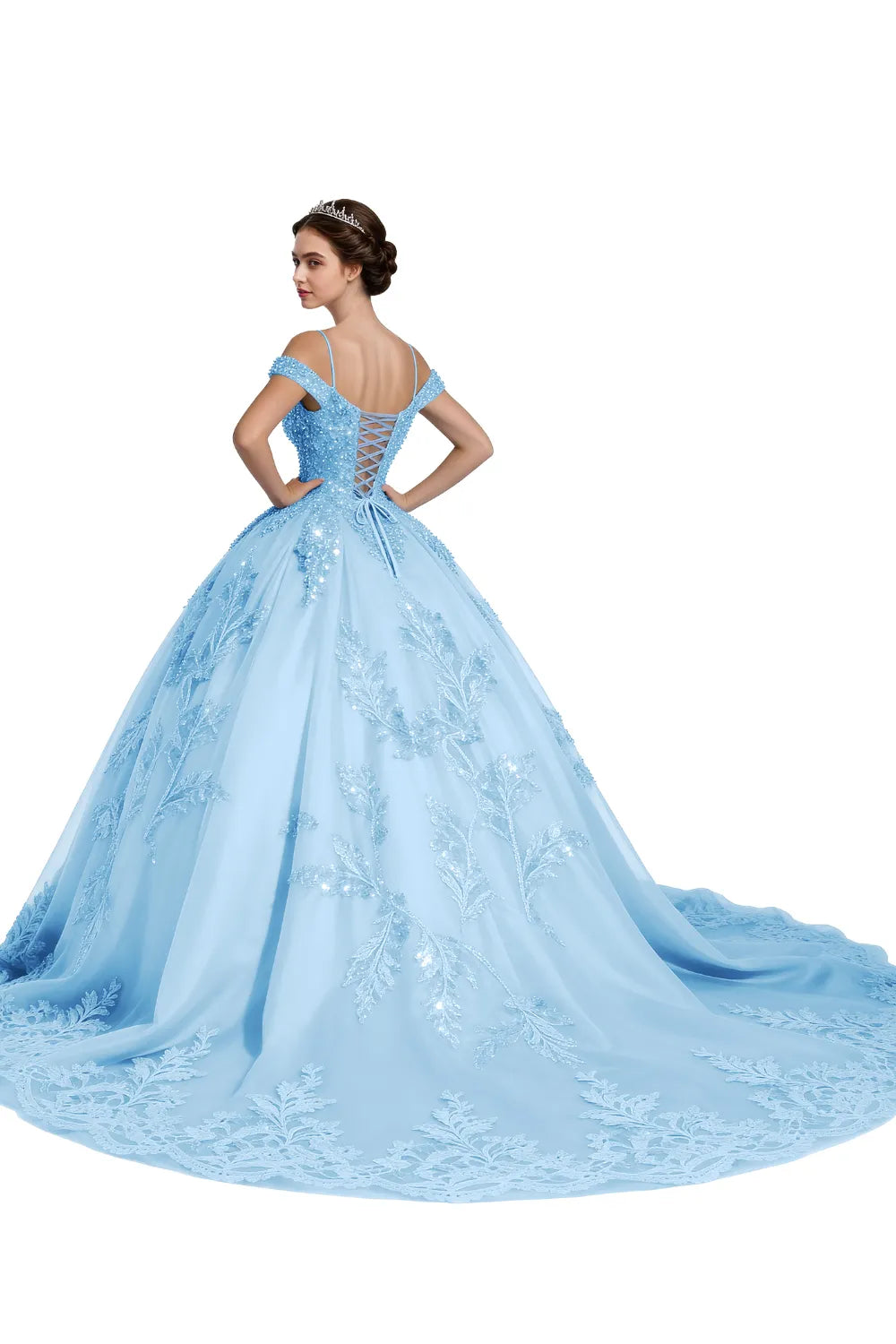 Princess Tulle Prom Dress with Lace Appliqué Ball Gown