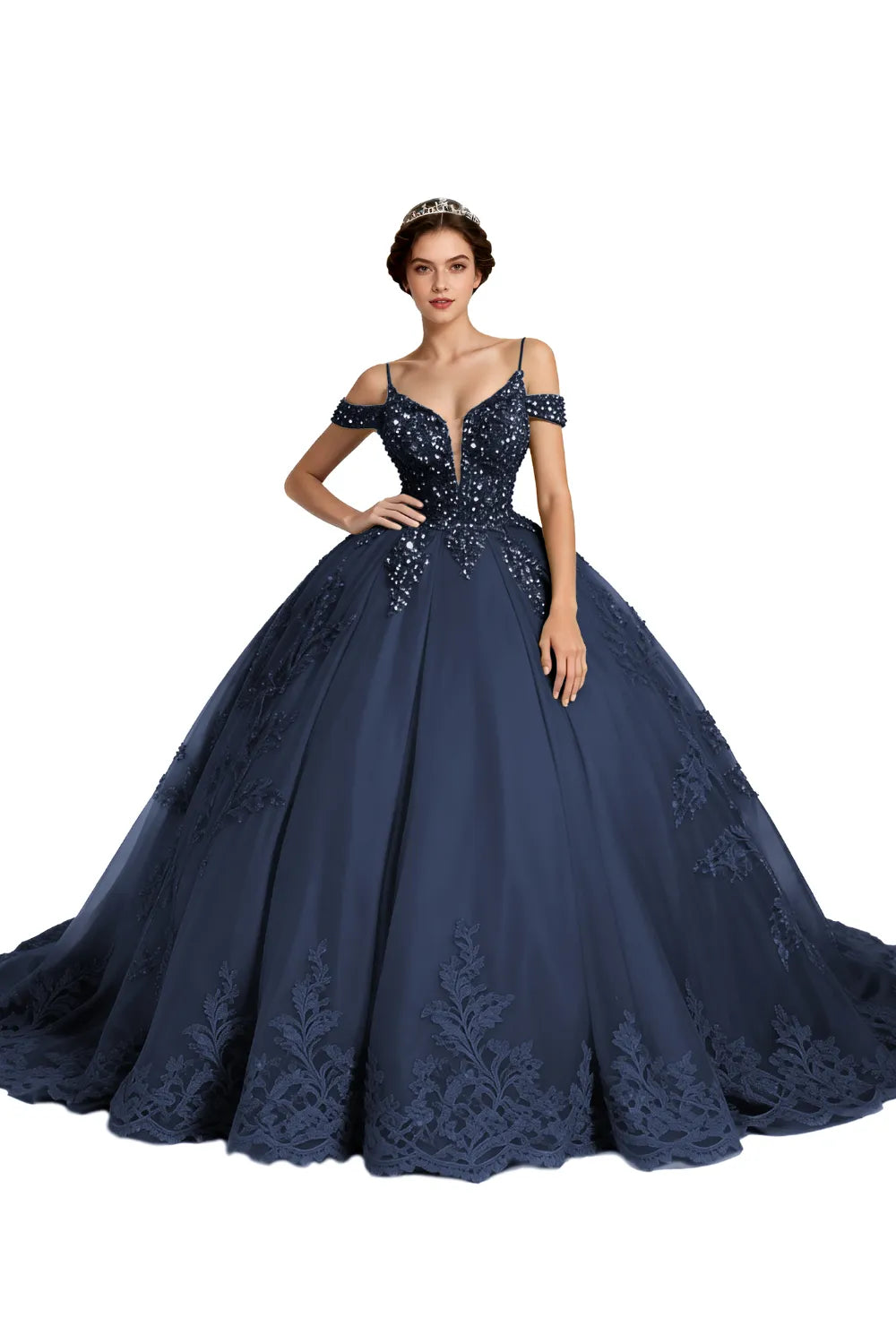 Princess Tulle Prom Dress with Lace Appliqué Ball Gown