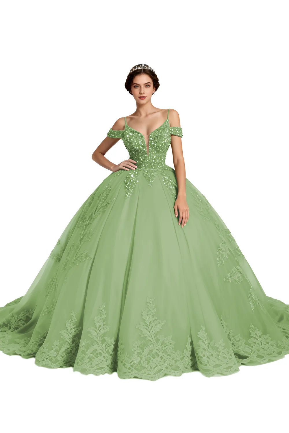 Princess Tulle Prom Dress with Lace Appliqué Ball Gown