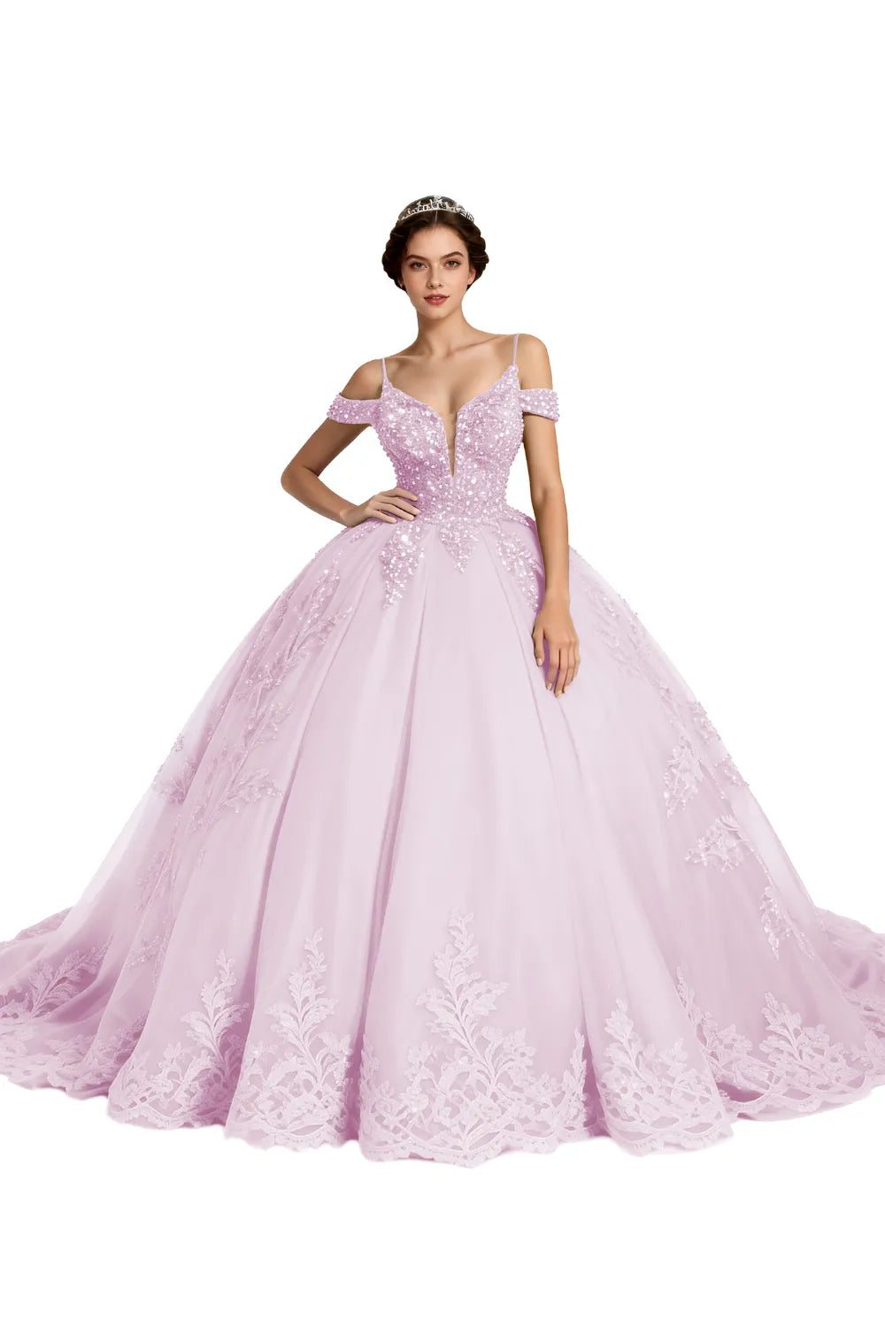 Princess Tulle Prom Dress with Lace Appliqué Ball Gown