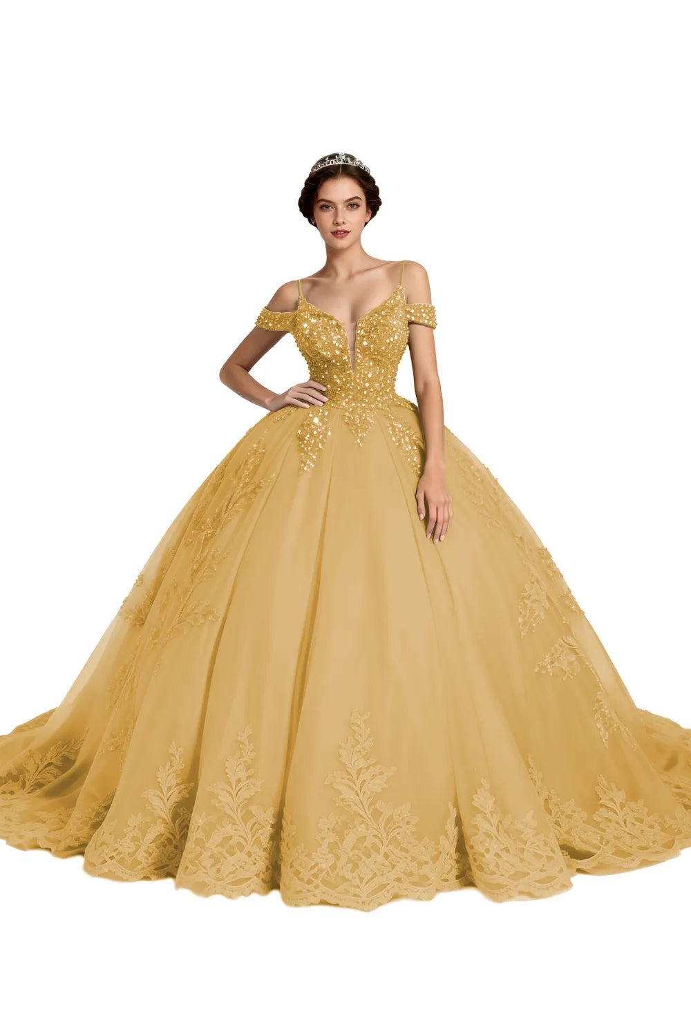 Princess Tulle Prom Dress with Lace Appliqué Ball Gown