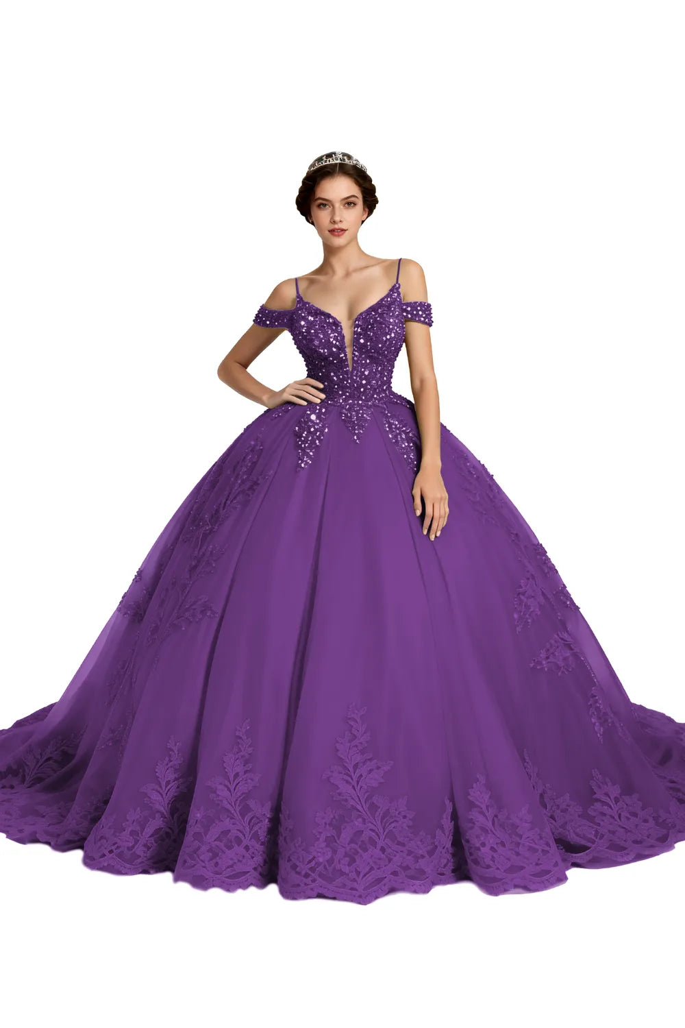 Princess Tulle Prom Dress with Lace Appliqué Ball Gown