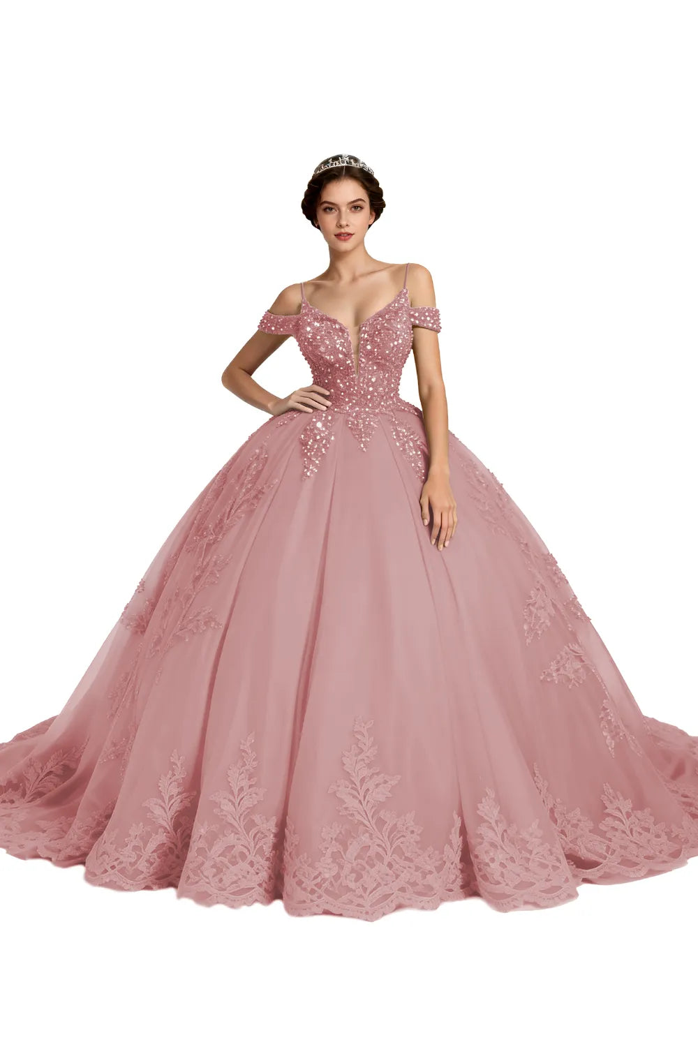 Princess Tulle Prom Dress with Lace Appliqué Ball Gown
