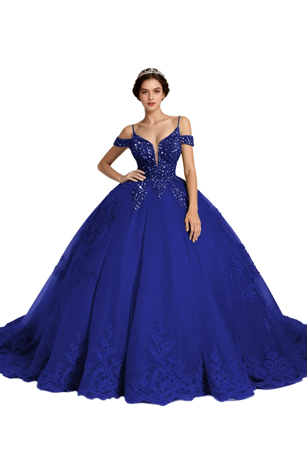 Princess Tulle Prom Dress with Lace Appliqué Ball Gown