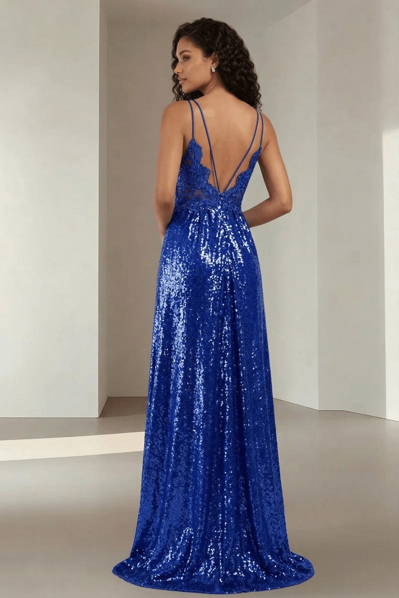 Elara Elegant Sequin Floor Length Dress Party Dress