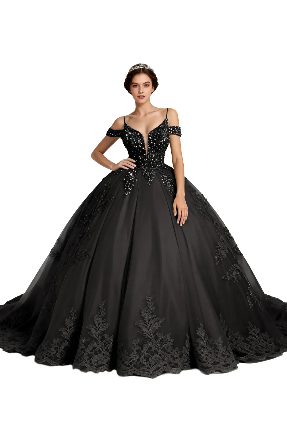 Princess Tulle Prom Dress with Lace Appliqué Ball Gown