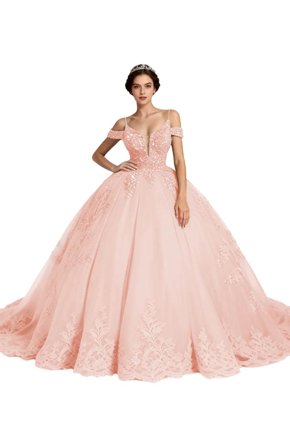 Princess Tulle Prom Dress with Lace Appliqué Ball Gown