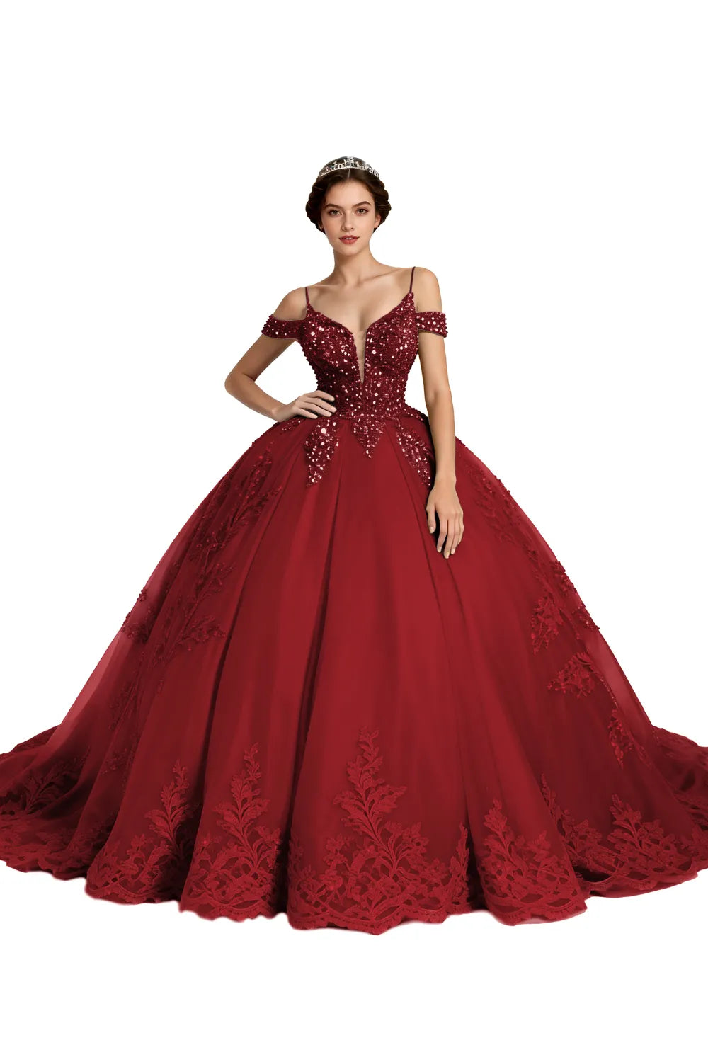 Princess Tulle Prom Dress with Lace Appliqué Ball Gown