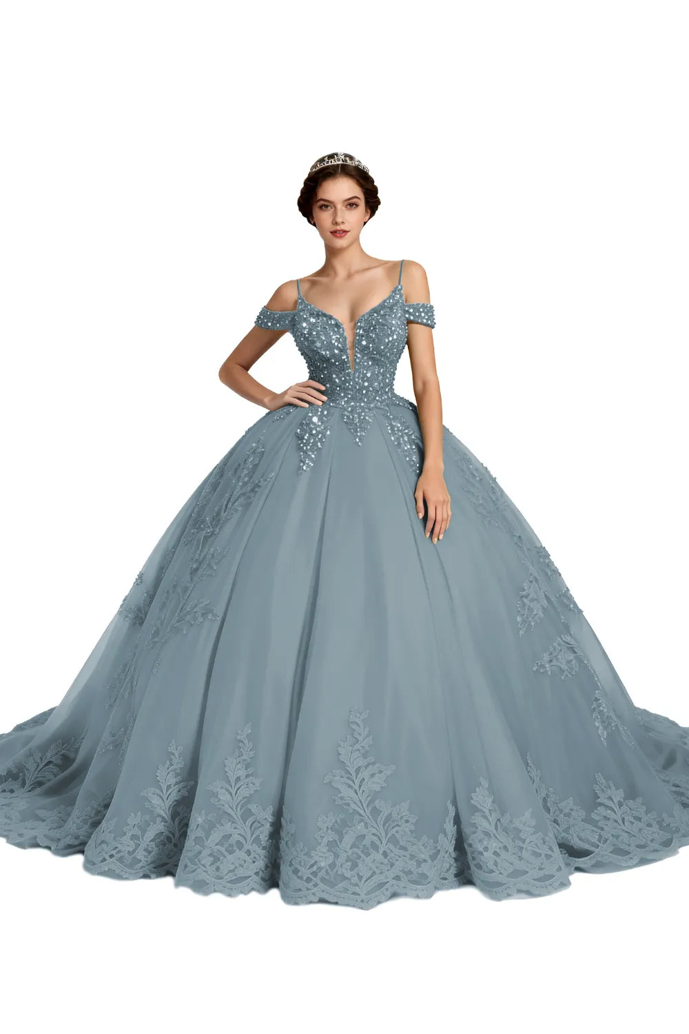 Princess Tulle Prom Dress with Lace Appliqué Ball Gown