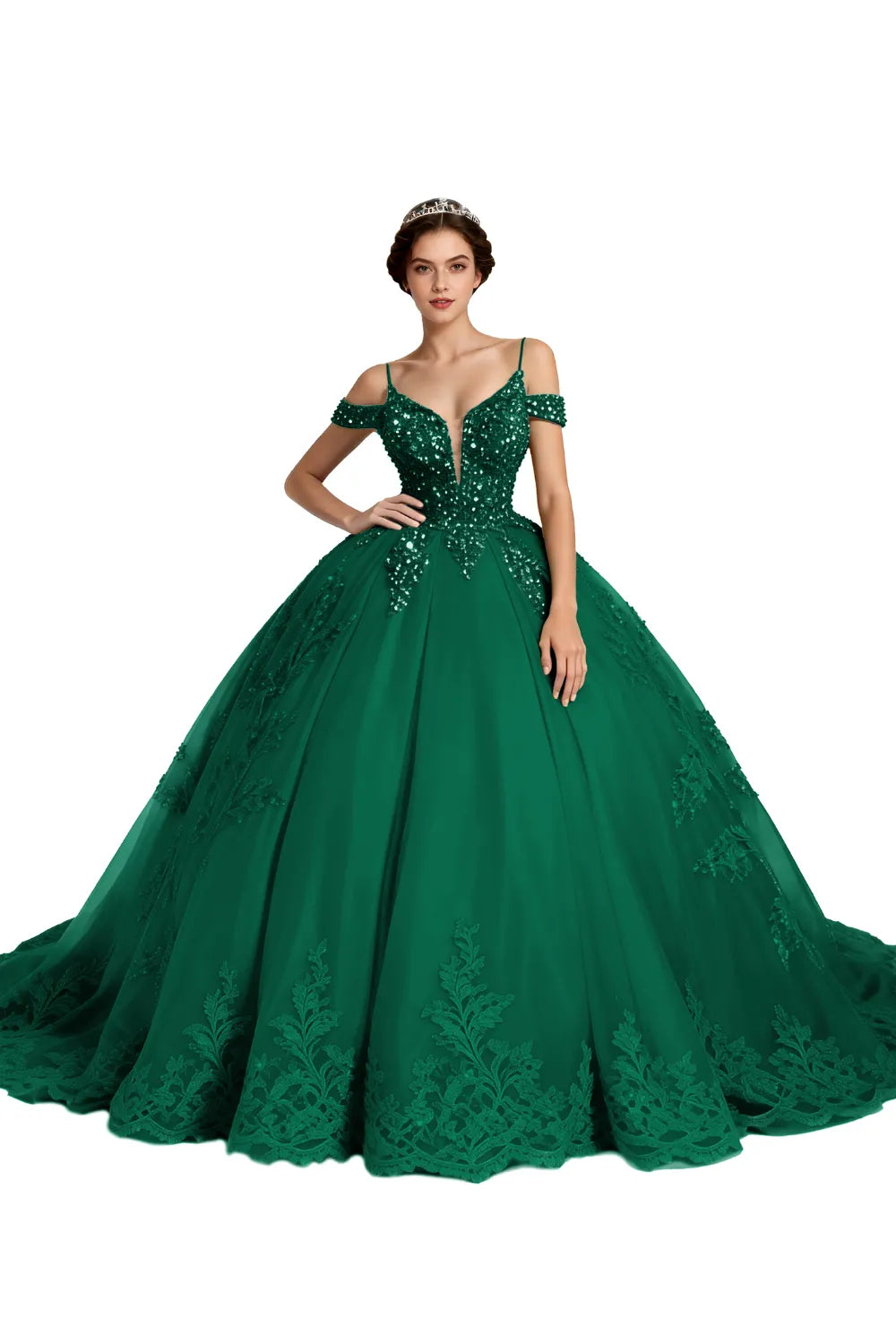 Princess Tulle Prom Dress with Lace Appliqué Ball Gown