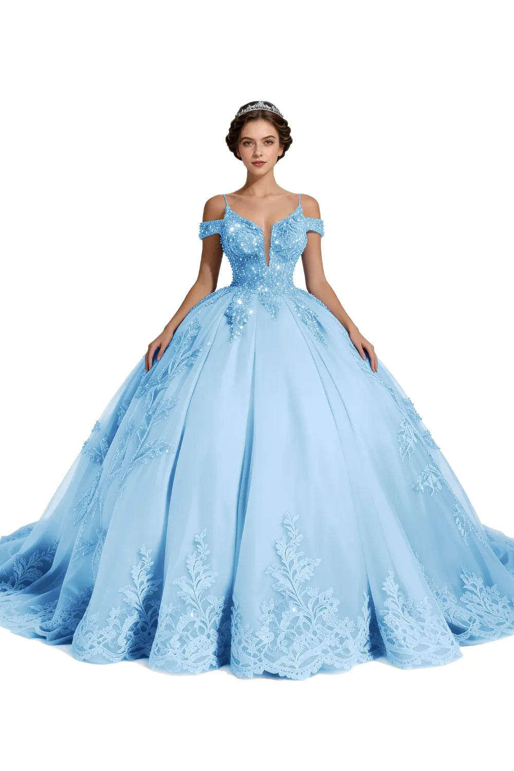 Princess Tulle Prom Dress with Lace Appliqué Ball Gown