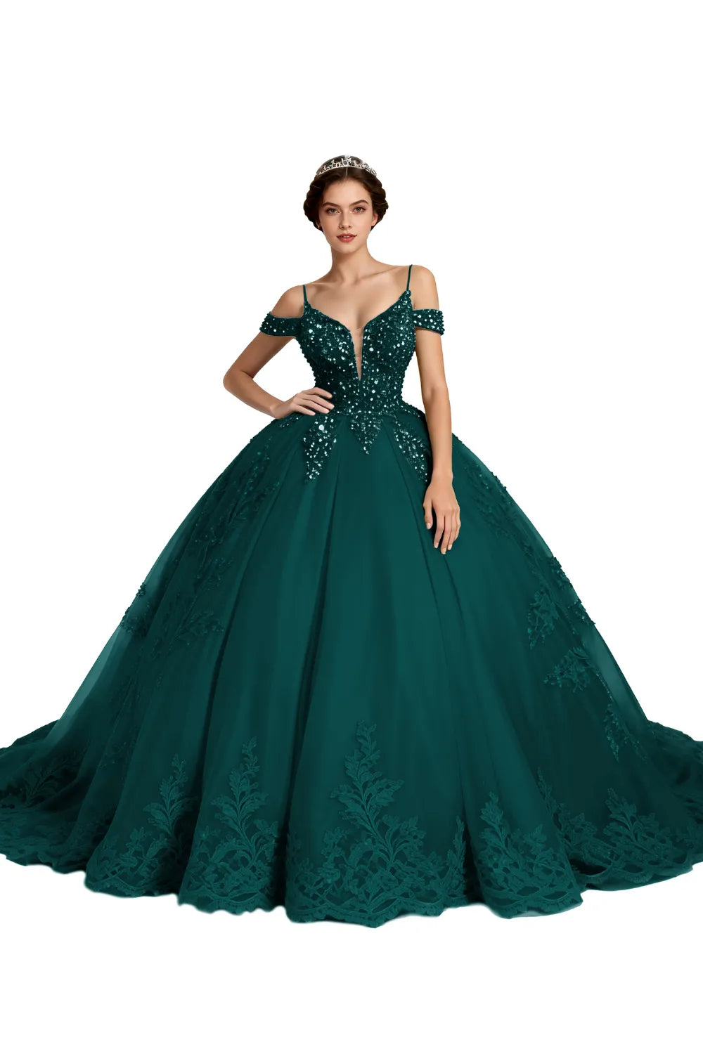 Princess Tulle Prom Dress with Lace Appliqué Ball Gown