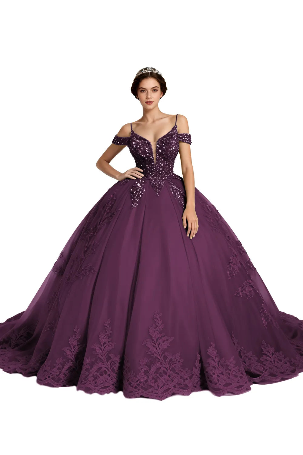 Princess Tulle Prom Dress with Lace Appliqué Ball Gown