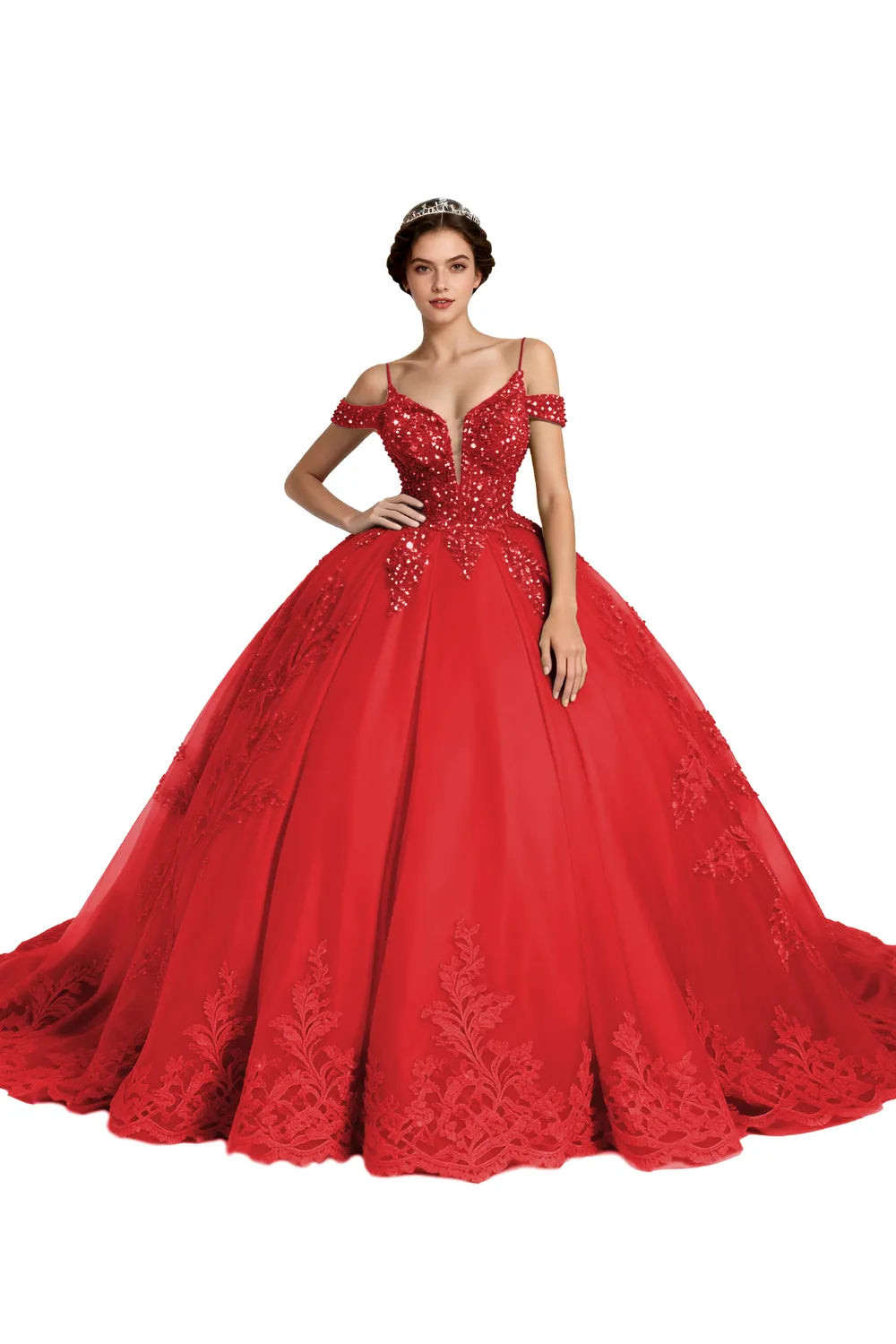 Princess Tulle Prom Dress with Lace Appliqué Ball Gown