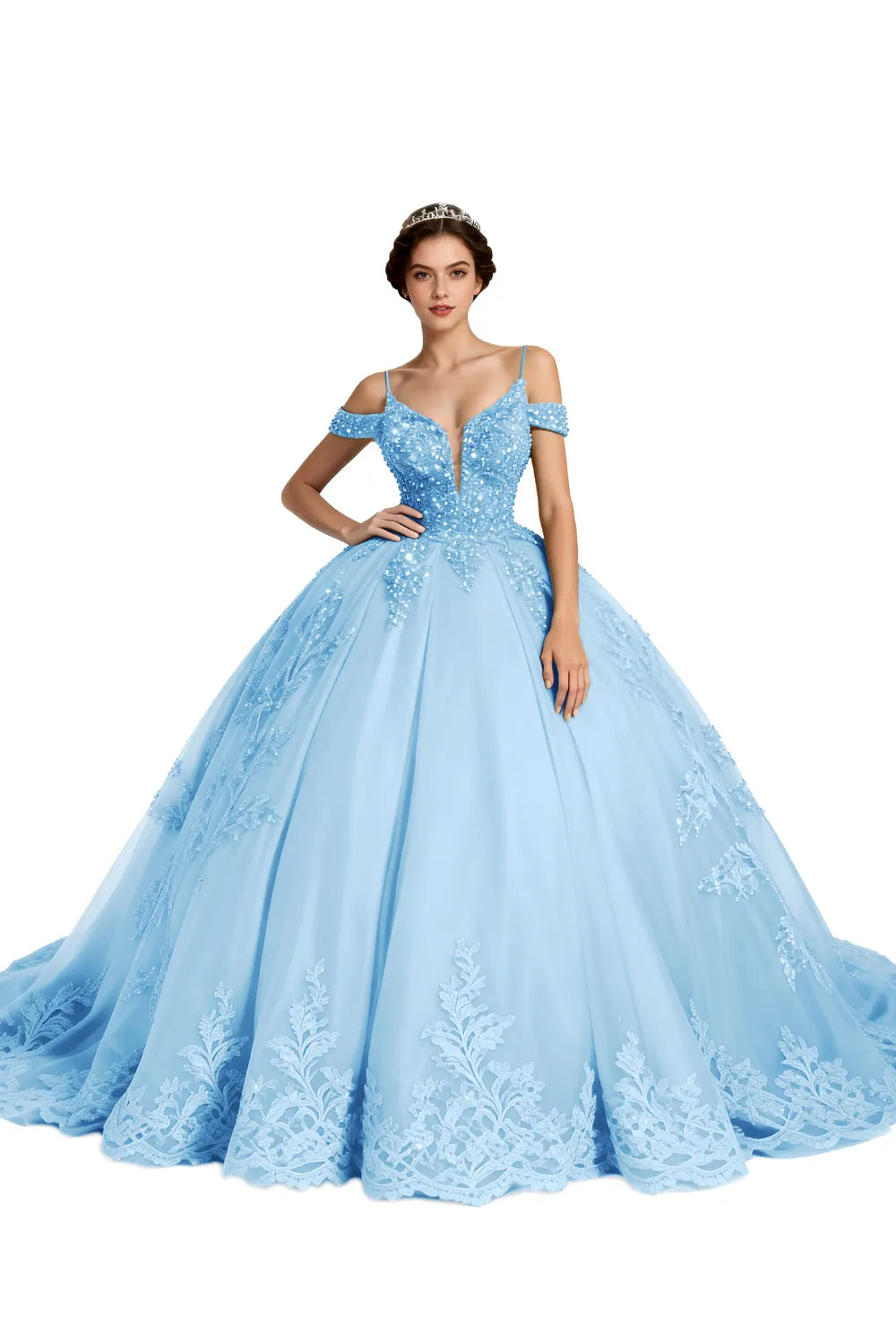 Princess Tulle Prom Dress with Lace Appliqué Ball Gown