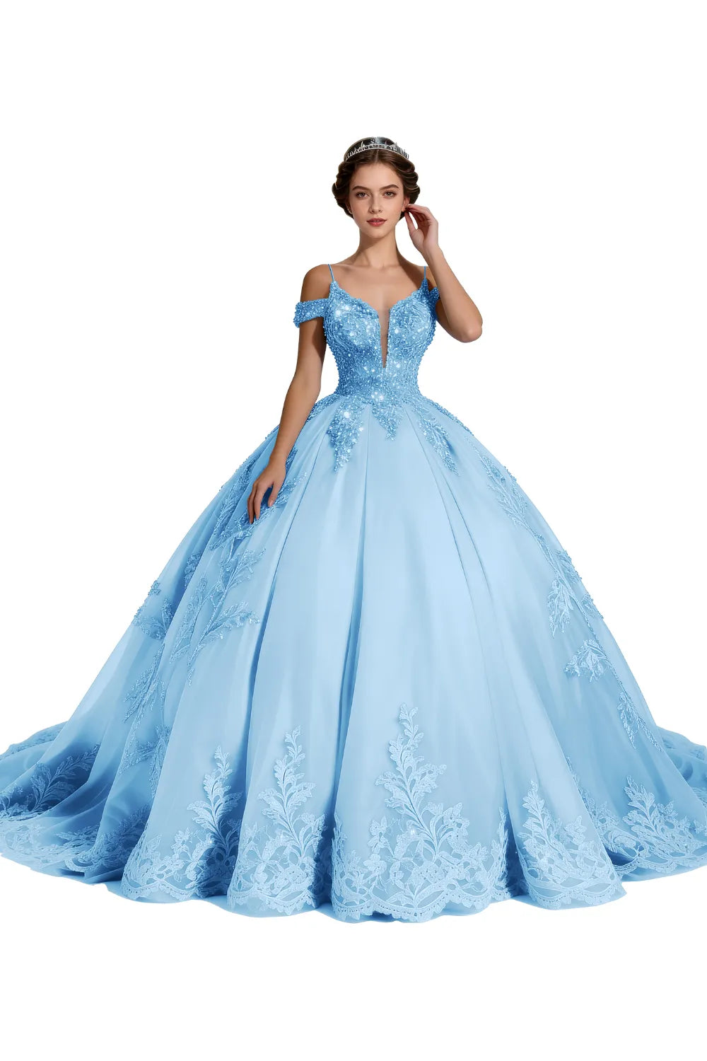 Princess Tulle Prom Dress with Lace Appliqué Ball Gown