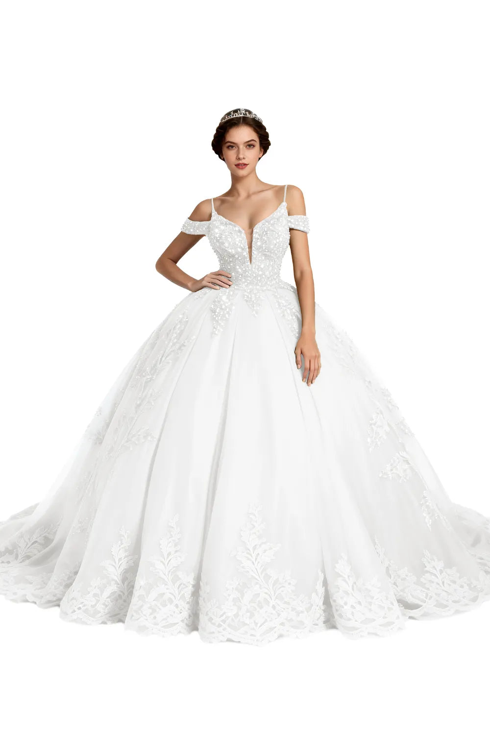 Princess Tulle Prom Dress with Lace Appliqué Ball Gown